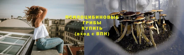 прущие крисы Алзамай
