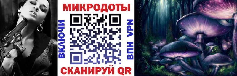 blacksprut вход  Сурск  Галлюциногенные грибы GOLDEN TEACHER  наркота 